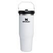 アイスフロー フリップストロー2.0 真空断熱タンブラー | 30 oz（約0.89L）