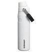 アイスフロー ファストフロー 真空断熱ボトル | 20oz（約0.59L）
