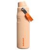 アイスフロー ファストフロー 真空断熱ボトル | 24 oz（約0.71L）