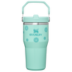 Wild and Free Collection アイスフロー フリップストロー2.0 真空断熱タンブラー | 20 oz（約0.59L）